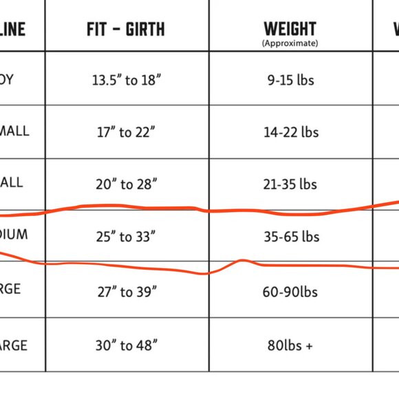 WONDER WALKER HARNESS & LEASH - NEVER WORN (photo of dog only for example) - Picture 5 of 5